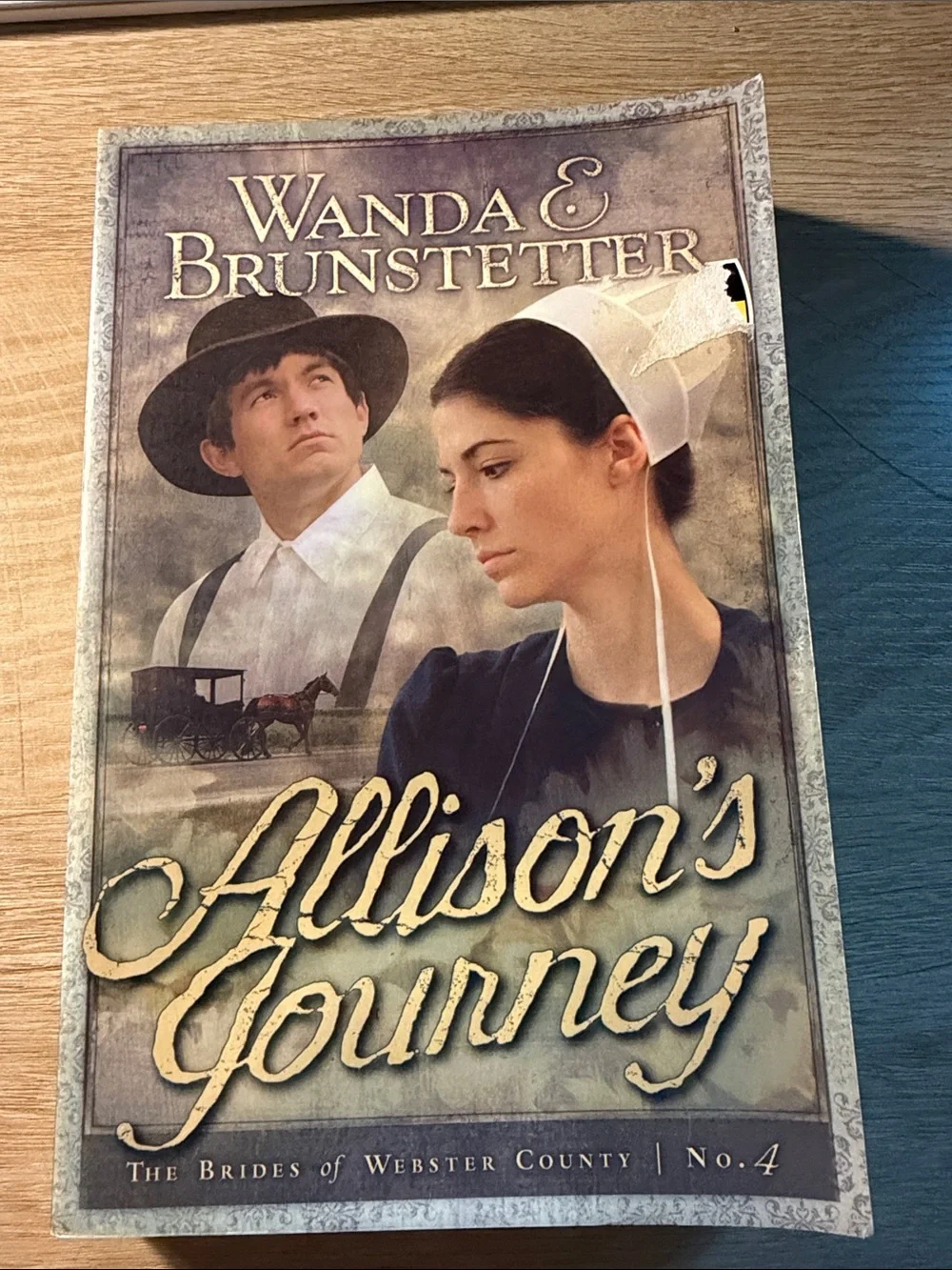Allison's Journey Paperback - Beige & Brown Cover